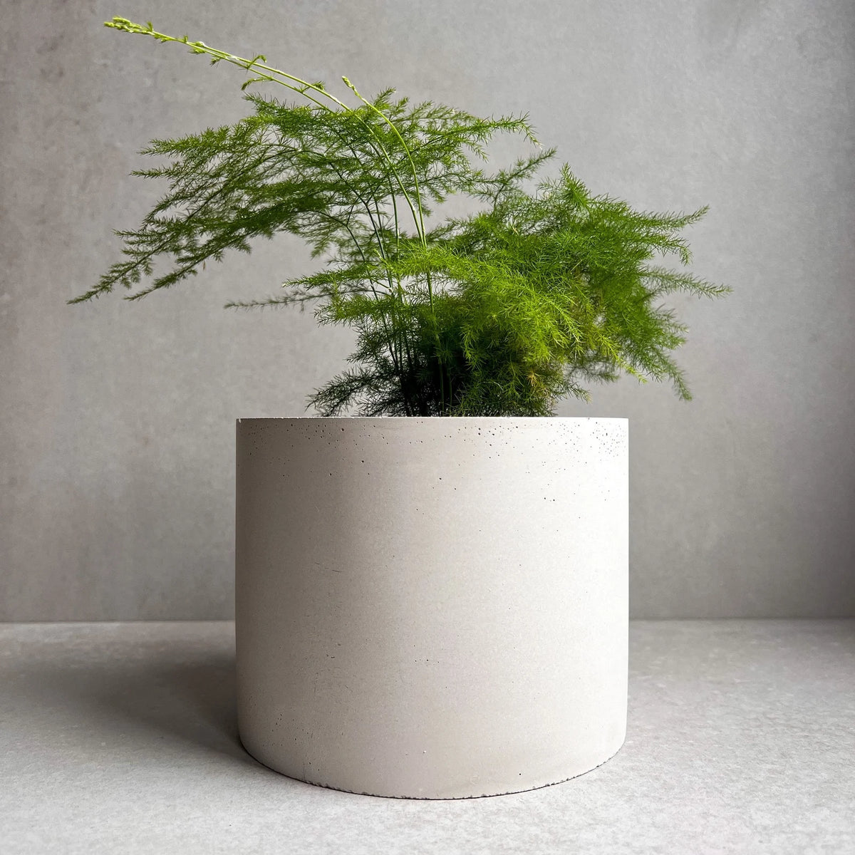 Minimlistic Fiberglass Planters
